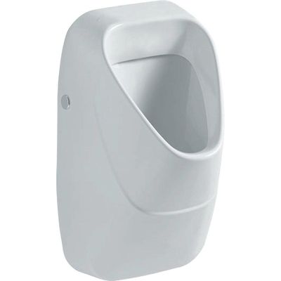Geberit 300 urinoir met achterinlaat 34x34cm wit s8601800000g