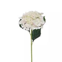 Hortensiatak Cream 52 cm kunstplant - Buitengewoon de boet