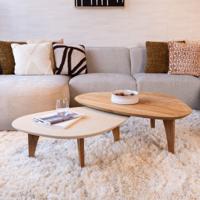 DTP Home Organische Salontafel 'Bliss' Set van 2 stuks, Mortex en Teakhout, 100 x 70cm