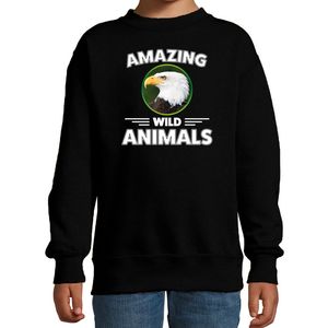 Sweater arend roofvogels amazing wild animals / dieren trui zwart voor kinderen