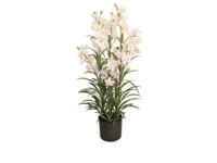 Cymbidium kunstplant 125 cm, wit - Buitengewoon de boet