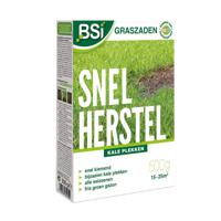 BSI Graszaad Snel Herstel 500g Voor 15 Tot 25m2 - thumbnail