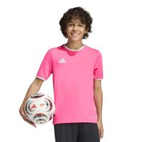 adidas Entrada 26 Voetbalshirt Kids Lichtroze Wit