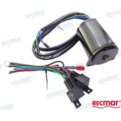 REC688-43880-11 - TRIMMOTOR Yamaha