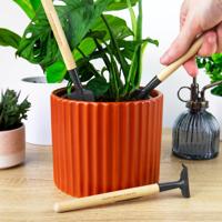 Plantverzorging Set (set Van 3)
