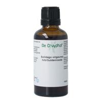 Cruydhof Solidago virg herb / guldenroede tinctuur 50 Milliliter