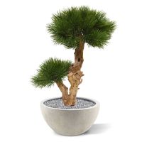 Pinus Bonsai kunstboom op voet 55cm - UV bestendig