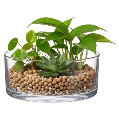 Lage schaal/vaas rond - transparant - glas - 19 x 8 cm - Glazen vazen - woonaccessoires Lage schaal/vaas rond - transparant - glas - 19 x 8 cm - Glazen vazen - woonaccessoires