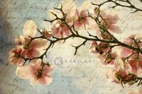 Karo-art Afbeelding op acrylglas - Magnolia boomtak met een verouderd papieren effect en een oud handschrift