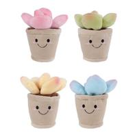 Take Me Home Plant Pluche - 13cm