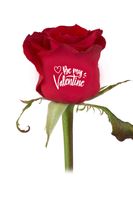 Bedrukte rozen "Be My Valentine"  (11.02-14.02)
