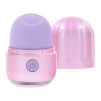 Massager Evolved Roze