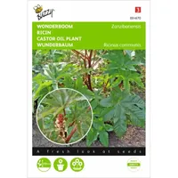 Ricinus, Wonderboom gemengd