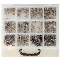 Bofix assortimentsdoos inbusbouten bolkop rvs 214298