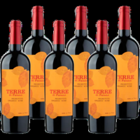 Faiano Primitivo Biologisch 6 x 750 ML zonder doos bij Jumbo
