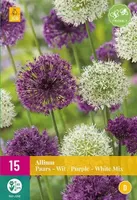 X 15 Allium Paars/Wit Mix