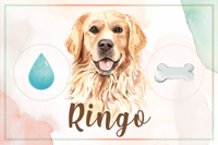 Vinyl vloerkleed golden retriever water en voer