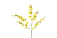 Decostar zijdebloem Phalaenopsis 90 cm geel