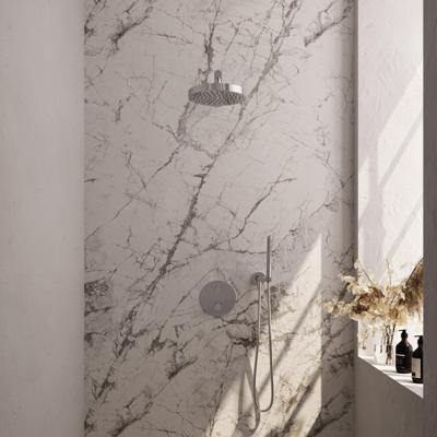 BRAUER Stripe Thermostatische Inbouw Regendouche - 3-weg - rond - SET 37 - 25cm douchekop - rechte muurarm - staaf handdouche - doucheslang - wandaansluitbocht - chroom 5-CE-437
