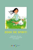 Zoek de spirit! (Hardback)