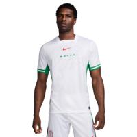 Nike Nigeria Thuisshirt 2024-2026 - thumbnail