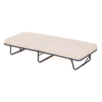 Opvouwbaar Bed met Matras Draagbaar Logeerbed met Traagschuim Ruimtebesparend voor Thuis Kamperen 190 x 80 cm