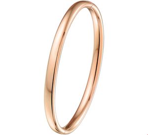 Armband Zilgold Bangle Ovale Buis rosegoud-zilveren kern 5 mm