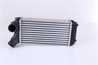 Intercooler, inlaatluchtkoeler 96491