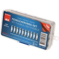 Max Hauri 128449 Buiszekering assortiment (Ø x l) 5 mm x 20 mm Snel -F- Inhoud 100 stuk(s)