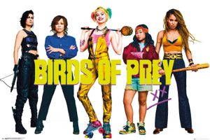 Birds of Prey Group Poster 61x91.5cm