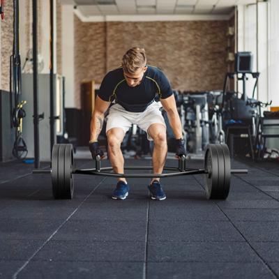 Zeskant-vangstang Robuuste Lange Halterstang met een Belasting tot 226 kg Zwart
