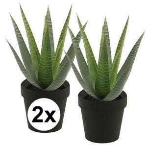 2x Kunstplant aloe vera groen in zwarte pot 23 cm