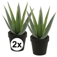 2x Kunstplant aloe vera groen in zwarte pot 23 cm