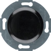 Berker serie 1930 blindplaat zwart