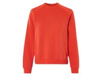esmara Dames sweater (Rood, S (36/38)) esmara Dames sweater (Rood, S (36/38))