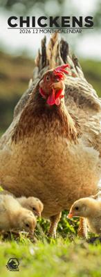 Kippen Slimline Kalender 2026 Kippen Slimline Kalender 2026