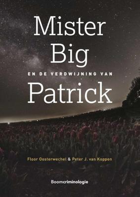 Mister Big en de verdwijning van Patrick (Paperback)