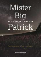 Mister Big en de verdwijning van Patrick (Paperback)