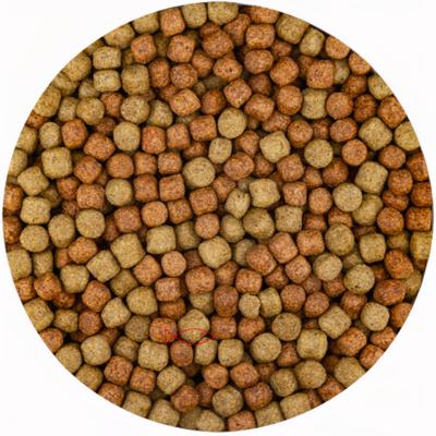 Vivani Multi Season 6mm Koi Vijvervoer - Immune Boost met Knoflook - 5L Emmer