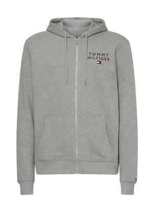 Tommy Hilfiger - Hoodie - P4A, Maat:2XL