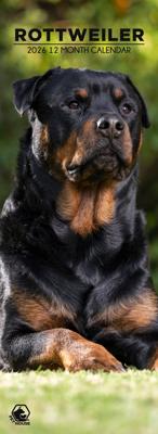 Rottweiler Slimline Kalender 2026