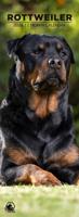 Rottweiler Slimline Kalender 2026 Rottweiler Slimline Kalender 2026