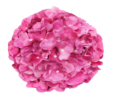 Kunst hortensia tak roze 92 cm - Buitengewoon de boet