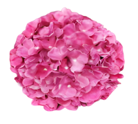 Kunst hortensia tak roze 92 cm - Buitengewoon de boet