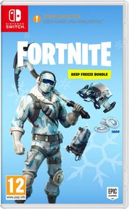 Warner Bros. Games Fortnite : Pack Froid Eternel Bundle Nintendo Switch