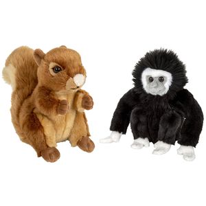 Bosdieren zachte pluche knuffels 2x stuks - Eekhoorn en Gibbon Aapje van 18 cm - Knuffeldier