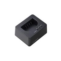 Panasonic BLK22 USB-C Charger