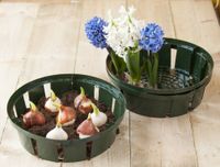 Bollenplantmand H7x dia. 22cm set a 3 stuks - Nature