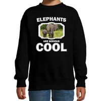Sweater elephants are serious cool zwart kinderen - olifanten/ olifant met kalf trui 14-15 jaar (170/176)  -