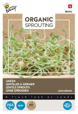 Organic Sprouting Linzen (BIO) - Buzzy